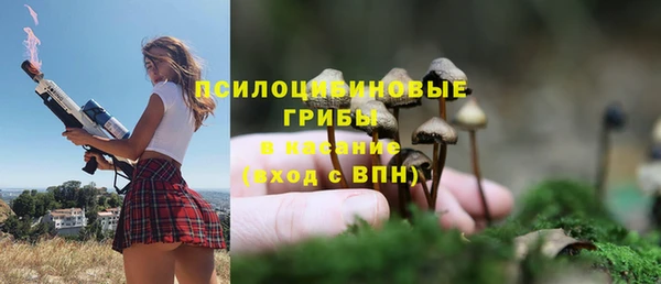 крисы Горнозаводск