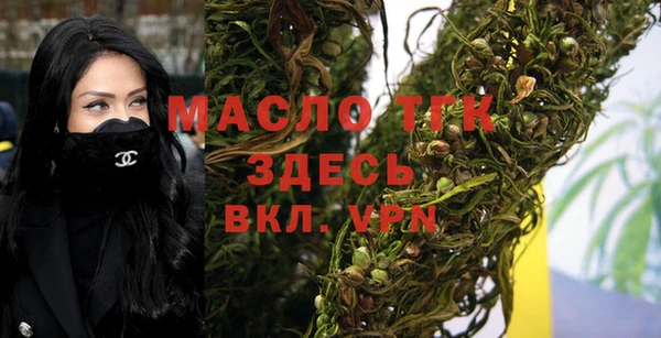 2c-b Горно-Алтайск