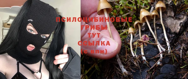 гашиш Горняк