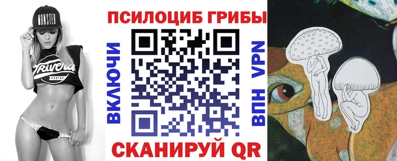 Купить где  Валуйки  Галлюциногенные грибы Psilocybe 